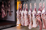 RPlus Walk In Cold Storage Doors, Meat Packing