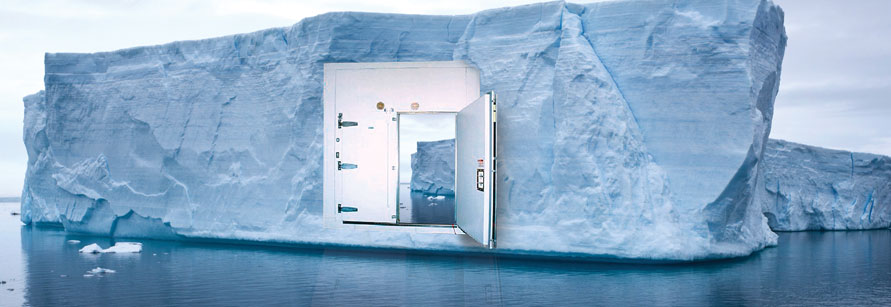 RPlus Walk In Cold Storage Swing Doors